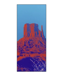 Wild Wild West